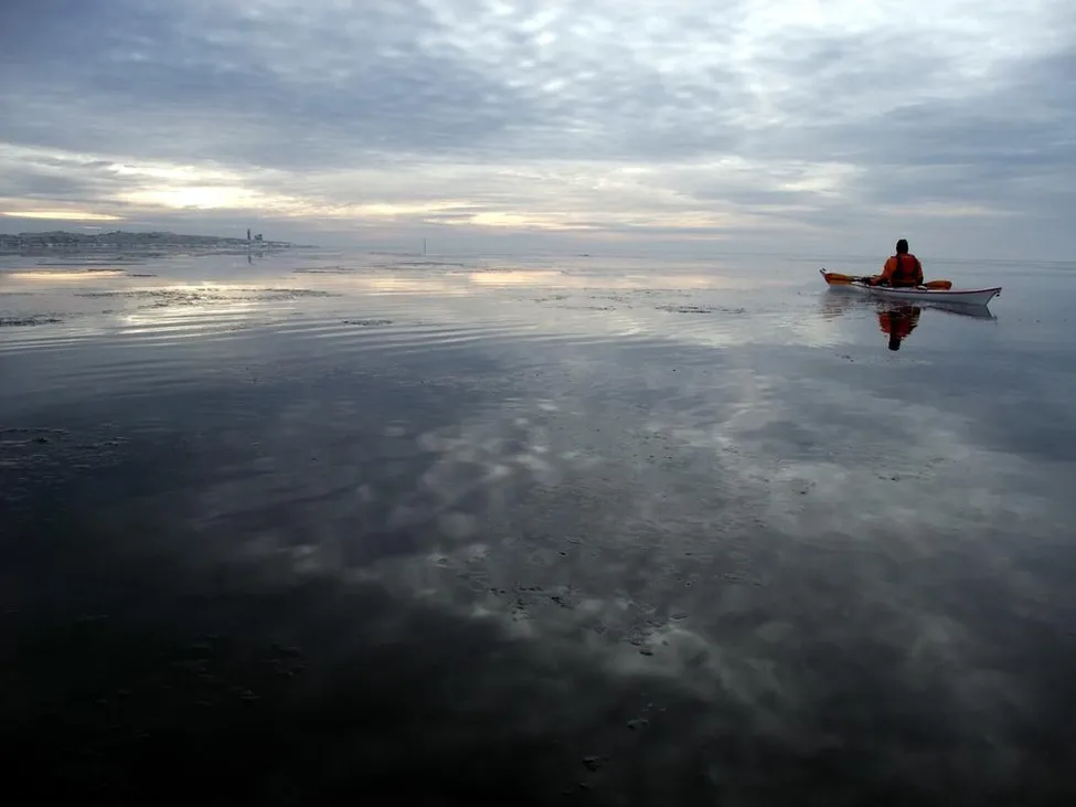 Klicka för att förstora