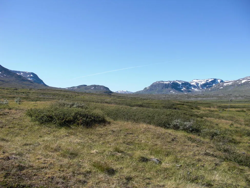 Klicka för att förstora