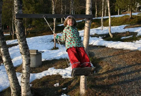 Drivans blommor smälta ner och dö