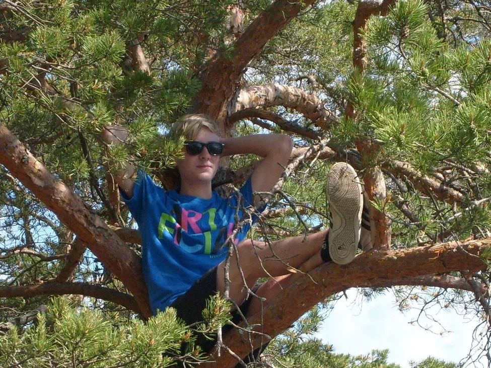 Klicka för att förstora