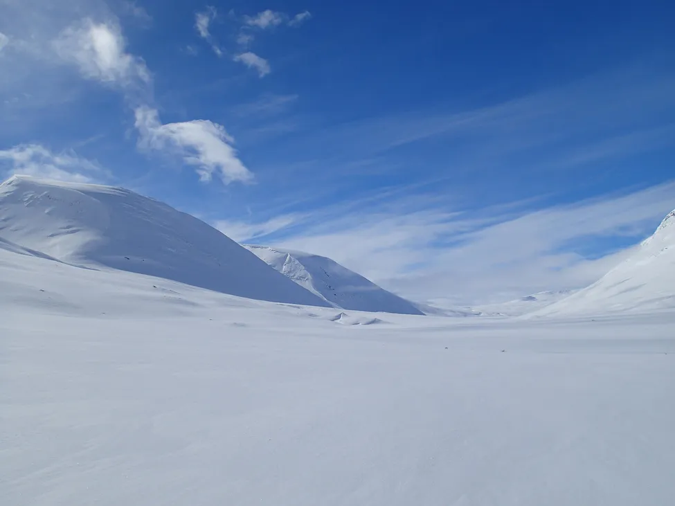 Klicka för att förstora