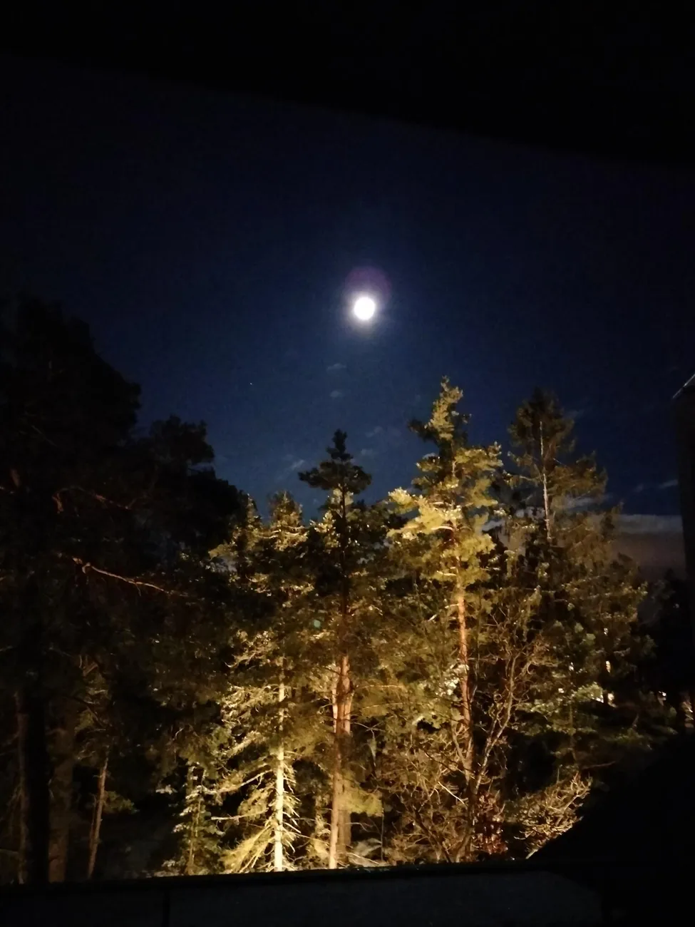 Klicka för att förstora
