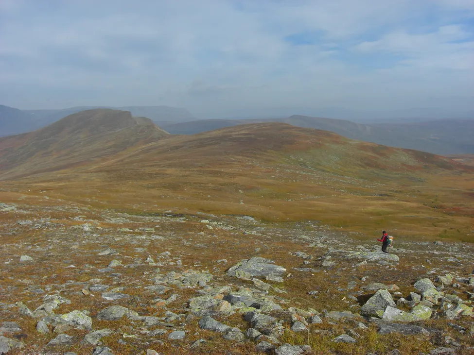 Klicka för att förstora