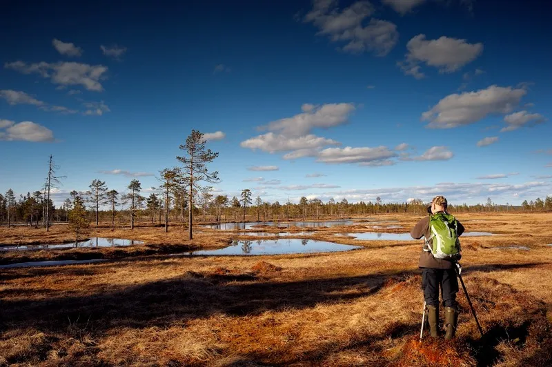 Klicka för att förstora