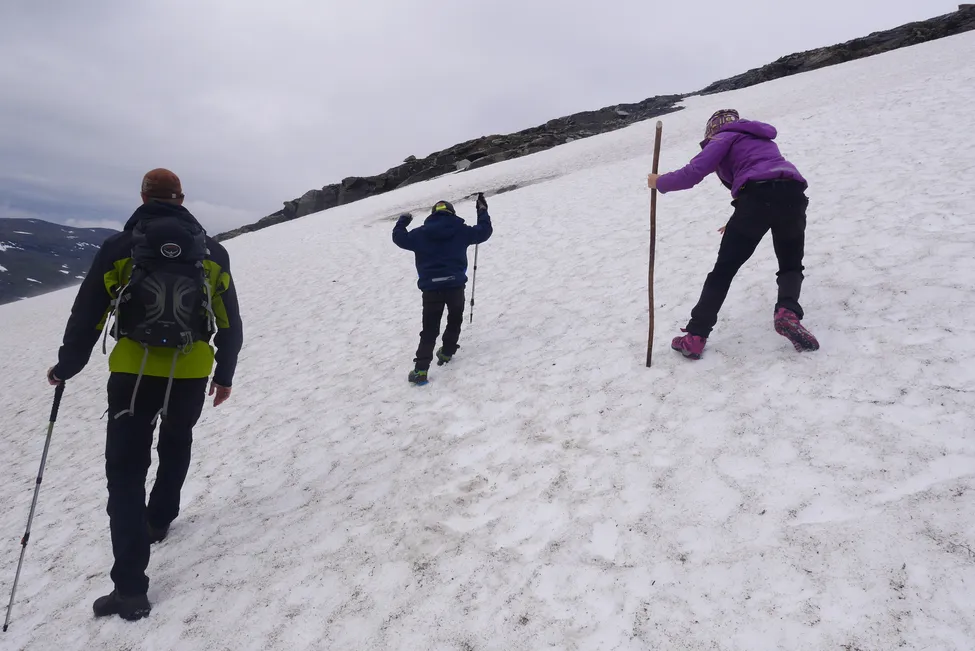 Klicka för att förstora