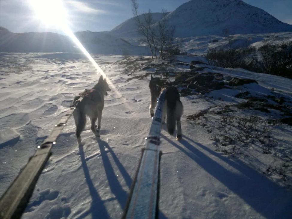 Klicka för att förstora