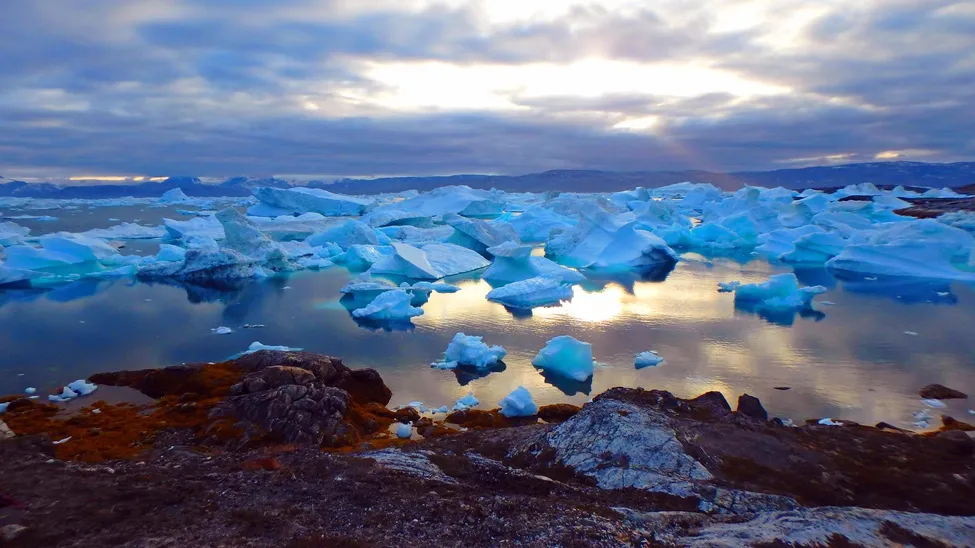Klicka för att förstora