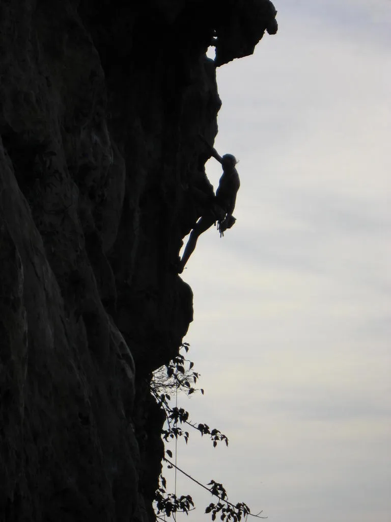 Klicka för att förstora