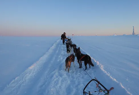 Ljusare dagar i norr.