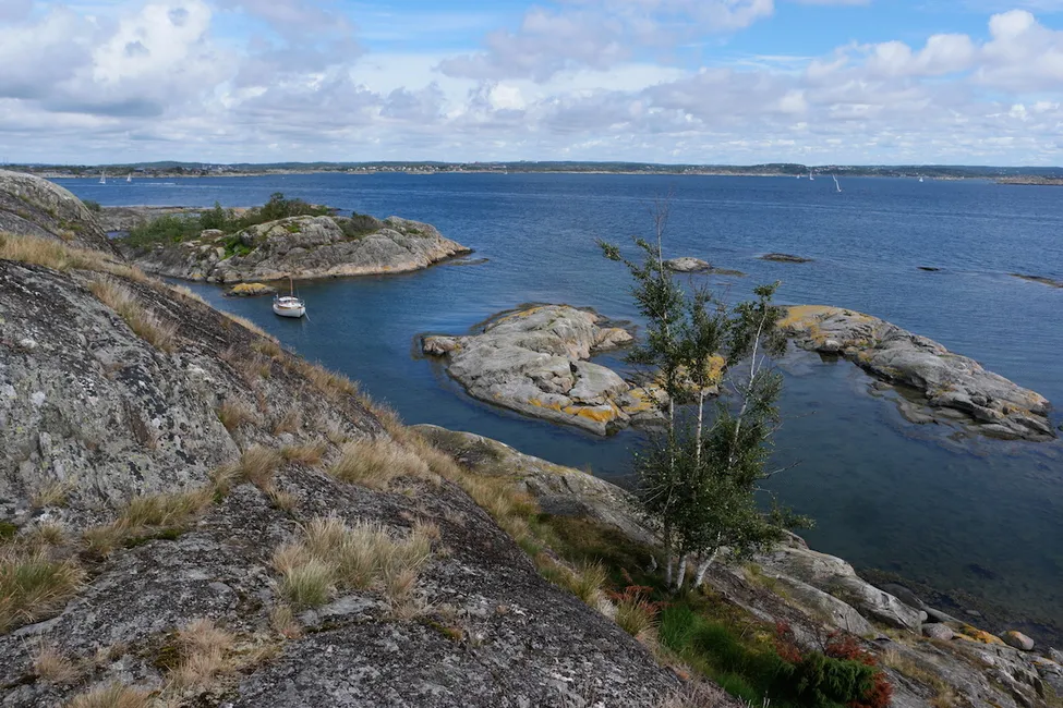 Klicka för att förstora