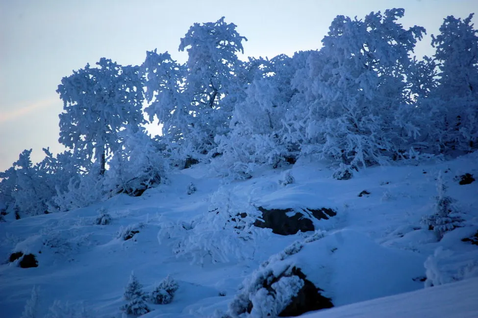 Klicka för att förstora