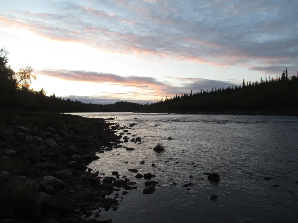 Klicka för att förstora