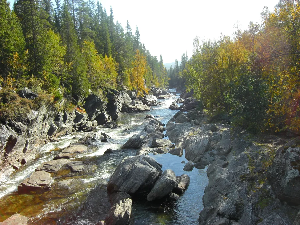Klicka för att förstora