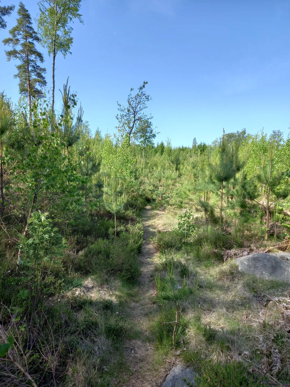 Klicka för att förstora