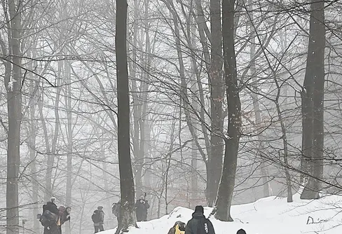 Knivderby i snöigt Mittskåne -	Våga sova ute, på vintern