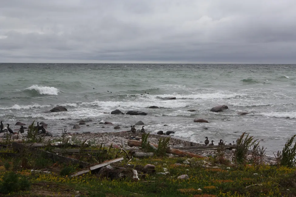 Klicka för att förstora