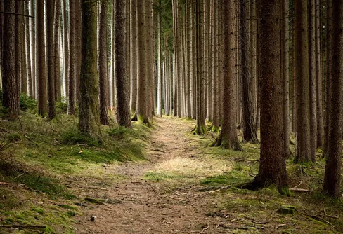 Besök ett naturreservat