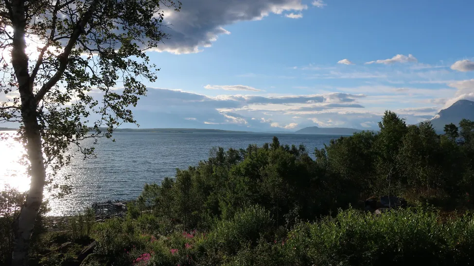 Klicka för att förstora