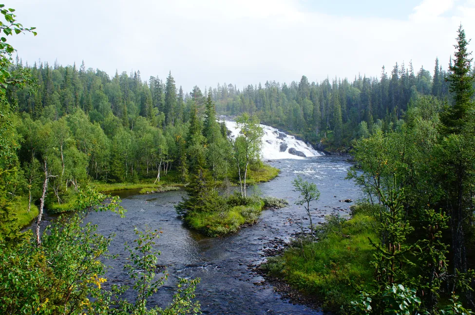 Klicka för att förstora