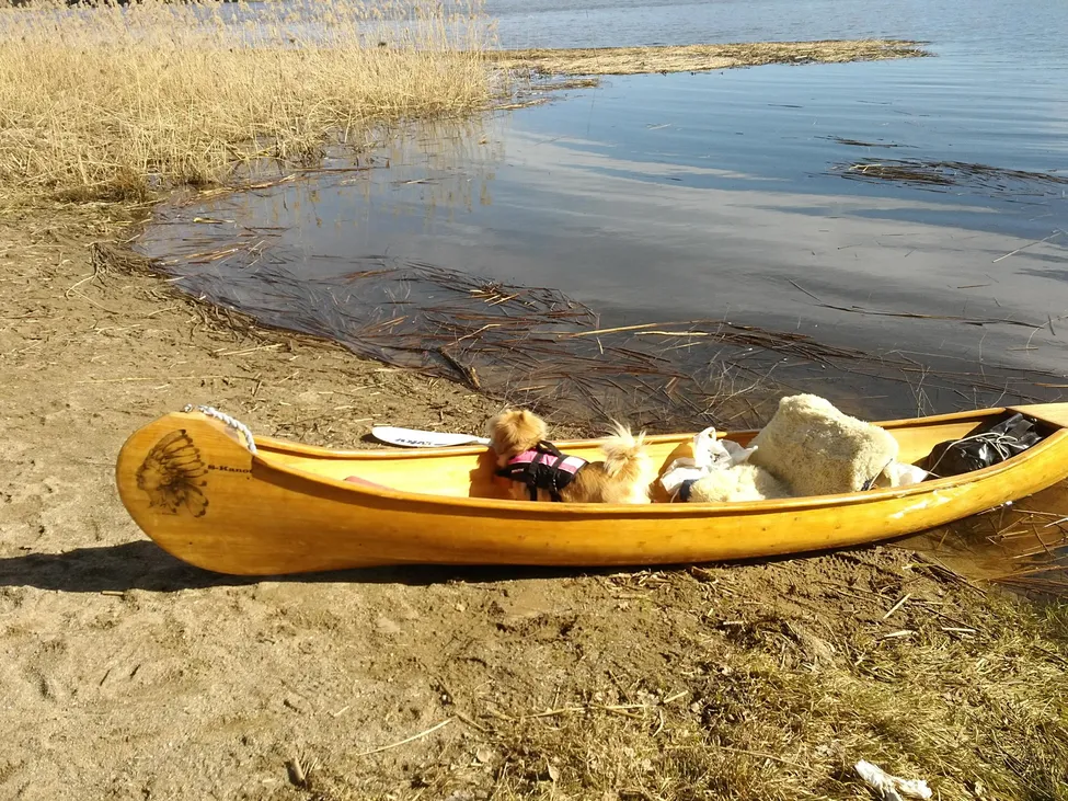 Klicka för att förstora