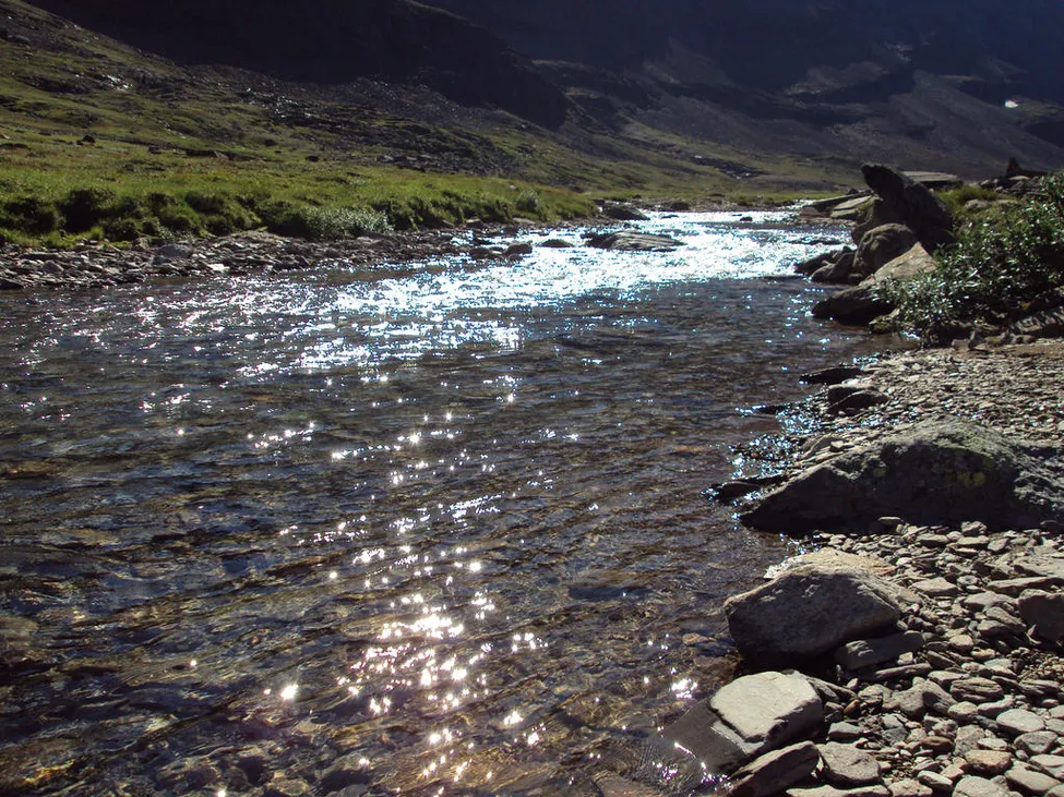 Klicka för att förstora