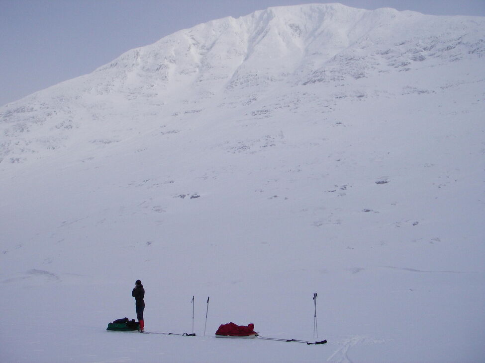 Klicka för att förstora