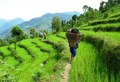 Rapport 1 från Fredrik