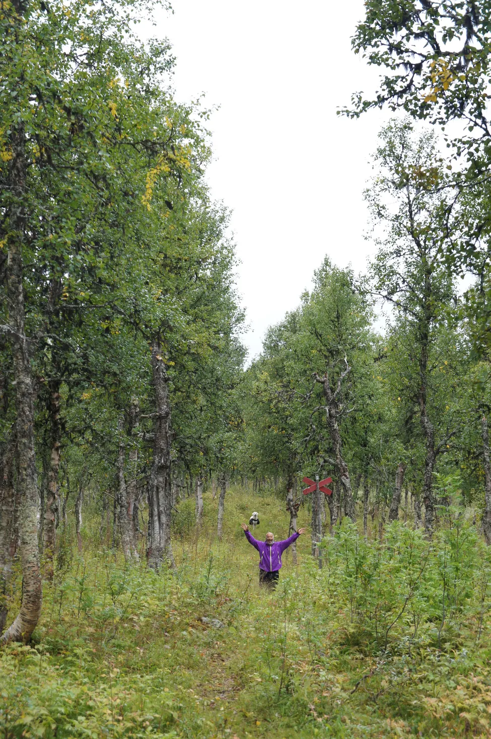 Klicka för att förstora