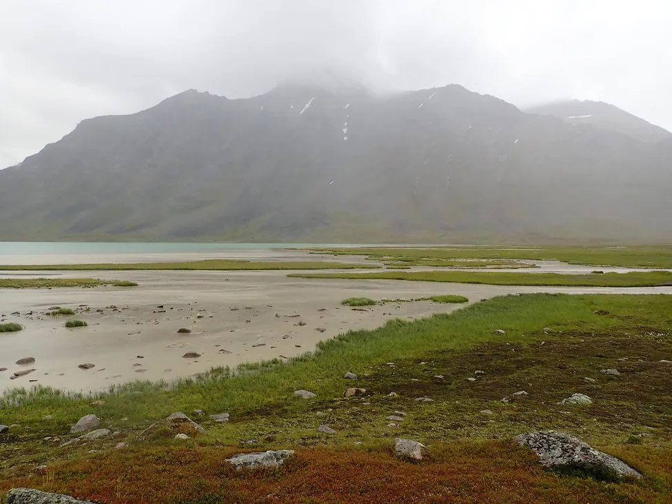 Klicka för att förstora
