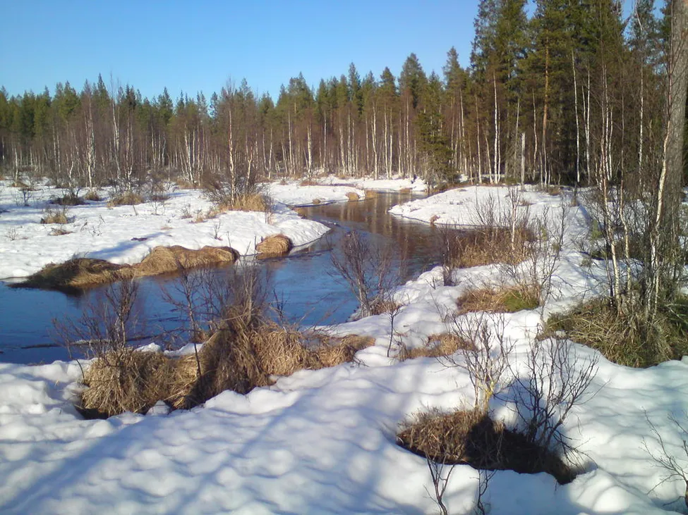 Klicka för att förstora