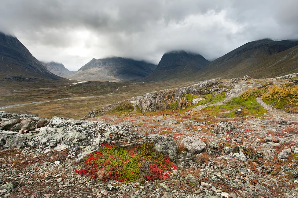 Klicka för att förstora