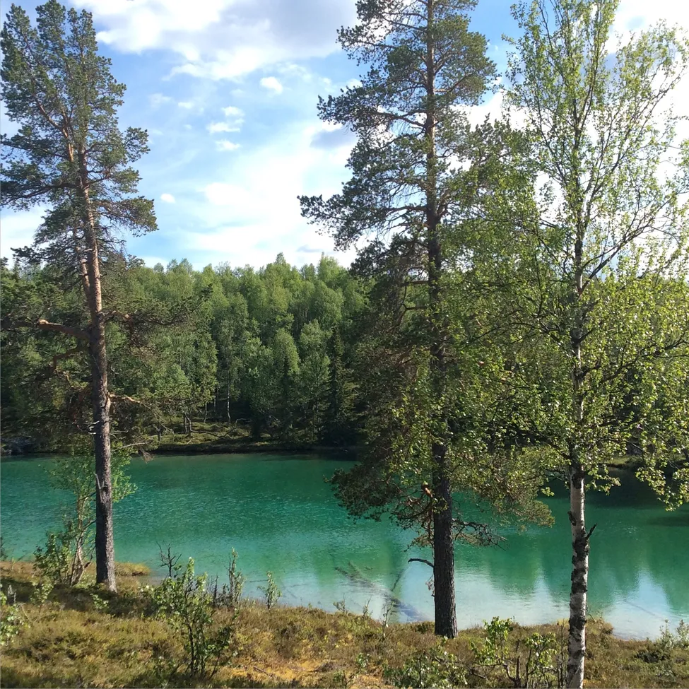 Klicka för att förstora