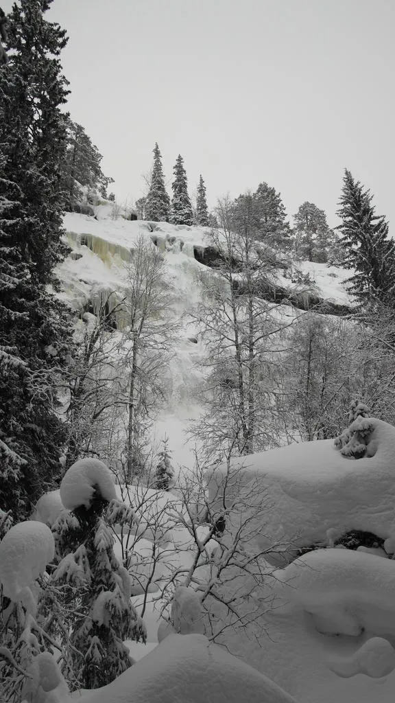Klicka för att förstora