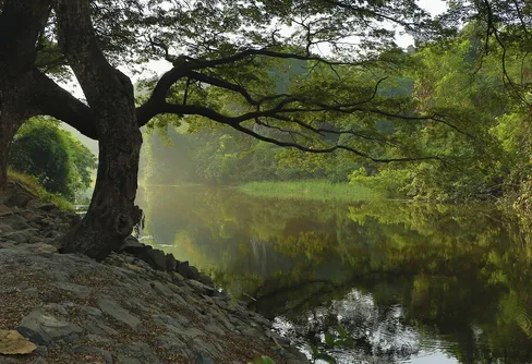 Lokala naturvårdens dag 27/8