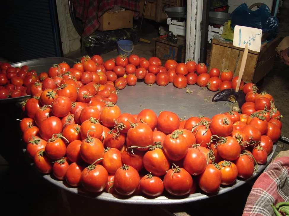 Klicka för att förstora