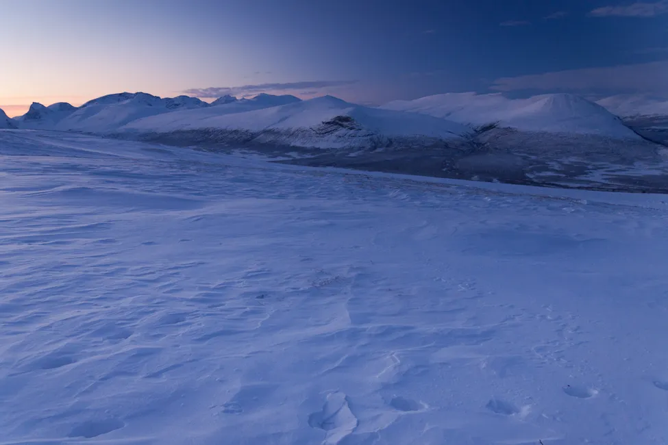 Klicka för att förstora