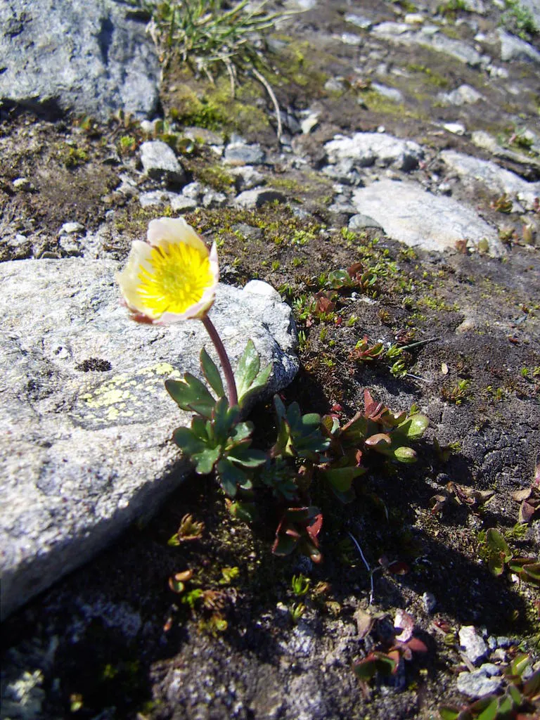 Klicka för att förstora