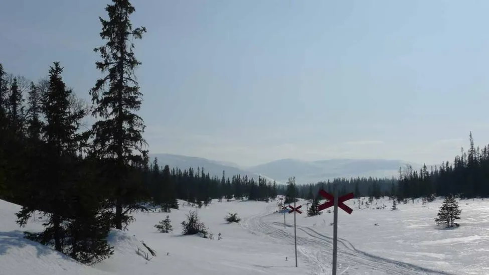 Klicka för att förstora