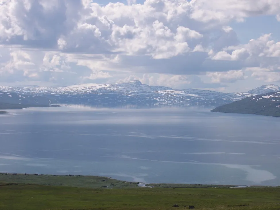 Klicka för att förstora