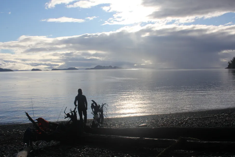 Klicka för att förstora