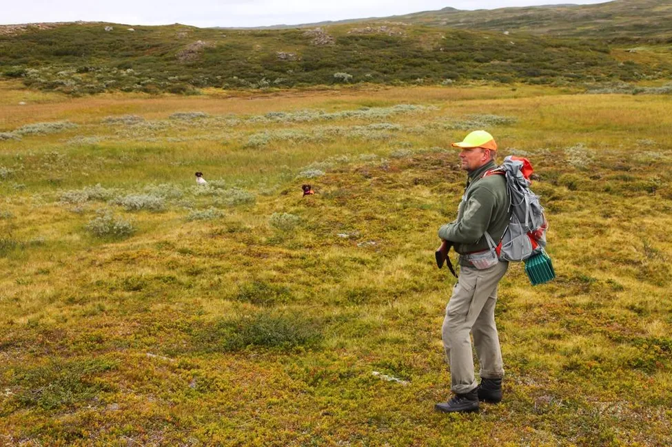 Klicka för att förstora