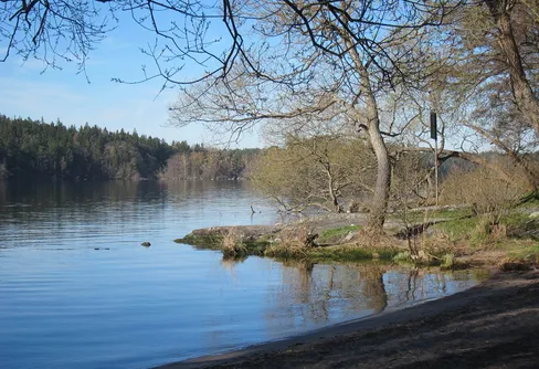 Min dagliga skogspromenad