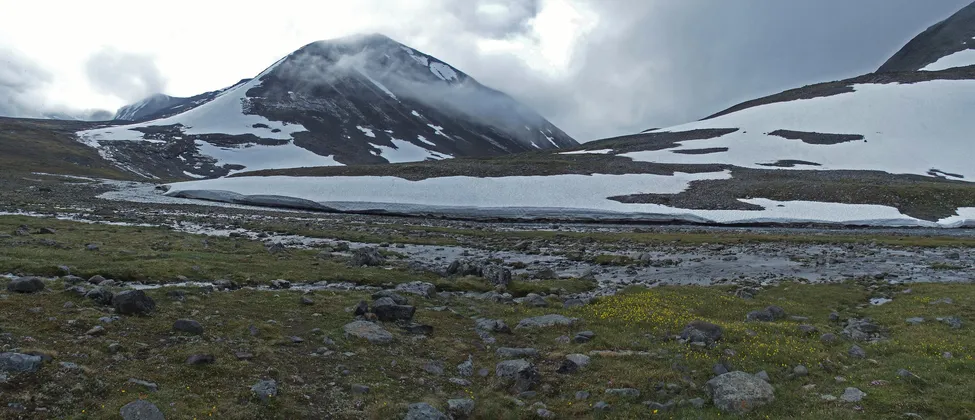 Klicka för att förstora