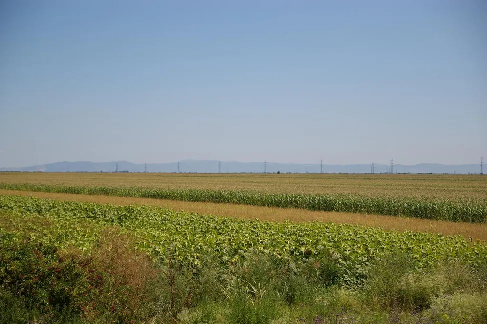 Klicka för att förstora