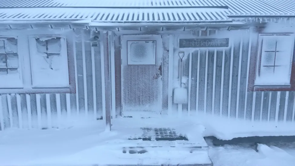 Klicka för att förstora