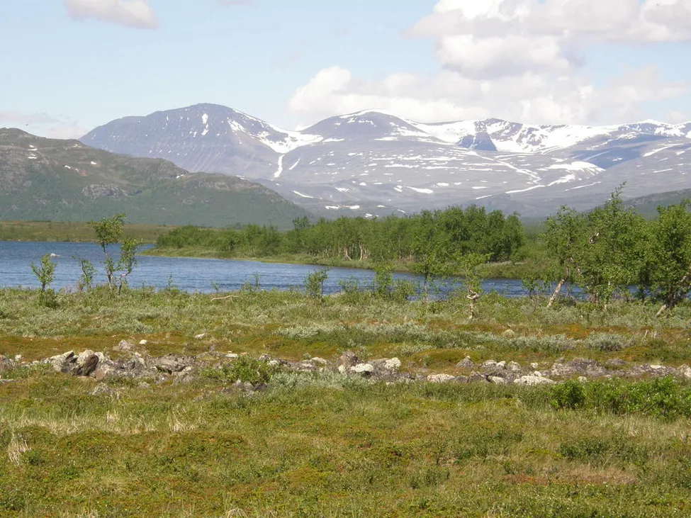 Klicka för att förstora