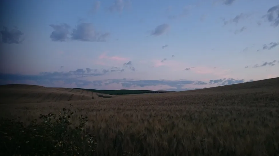 Klicka för att förstora