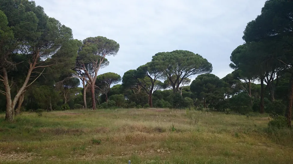 Klicka för att förstora