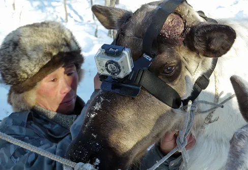 Sponsorer; 3 råd som kan vara avgörande