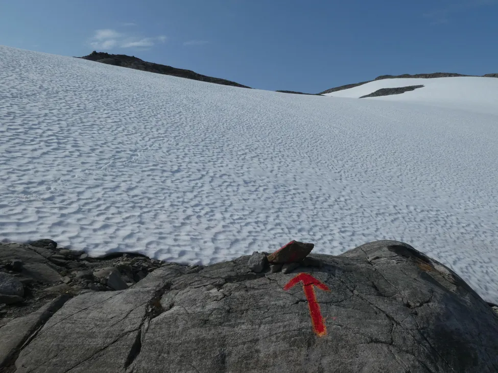 Klicka för att förstora